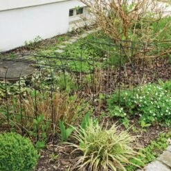 BellissaHortensien Stütze Annabelle 75 Cm Grün 2er Set 20 BellissaHortensien Stütze Annabelle 75 Cm Grün 2er Set -Doppler Verkäufe 2024 4042897935092 3533 A 01