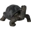 Gartenfigur Schildkröte 13,5 Cm Schwarz -Doppler Verkäufe 2024 4048123040035 10