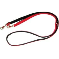Heim Hundeleine Gurtband Gefüttert Breite 20 Mm Länge 200 Cm Rot