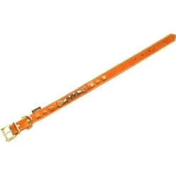 Heim Hundehalsband Buffalo Breite 25 Mm Länge 50 Cm Cognac/Cognac 8 Heim Hundehalsband Buffalo Breite 25 Mm Länge 50 Cm Cognac/Cognac -Doppler Verkäufe 2024 423012 2803 3