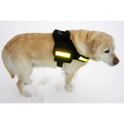 Heim Hunde-Spezialgeschirr Profi Größe S Schwarz Bauchumfang 51 Cm Bis 65 Cm 4 Heim Hunde-Spezialgeschirr Profi Größe S Schwarz Bauchumfang 51 Cm Bis 65 Cm – Bild 2