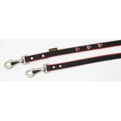Heim Hundeleine Schwarz Mit Roten Pfoten Breite 16 Mm Länge 200 Cm 9 Heim Hundeleine Schwarz Mit Roten Pfoten Breite 16 Mm Länge 200 Cm -Doppler Verkäufe 2024 423309 2803 2