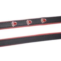 Heim Hundeleine Schwarz Mit Roten Pfoten Breite 16 Mm Länge 200 Cm 11 Heim Hundeleine Schwarz Mit Roten Pfoten Breite 16 Mm Länge 200 Cm -Doppler Verkäufe 2024 423309 2803 4
