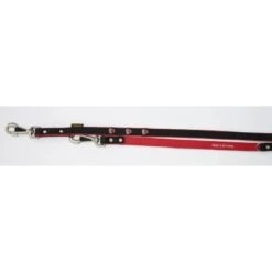 Heim Hundeleine Schwarz Mit Roten Pfoten Breite 16 Mm Länge 200 Cm 13 Heim Hundeleine Schwarz Mit Roten Pfoten Breite 16 Mm Länge 200 Cm -Doppler Verkäufe 2024 423309 2803 6