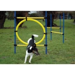 Dobar 3-teiliges Agility Sprung-Set Sprungreif 100 X 76 Cm Inkl. Tragetasche -Doppler Verkäufe 2024 4321121 3856 03