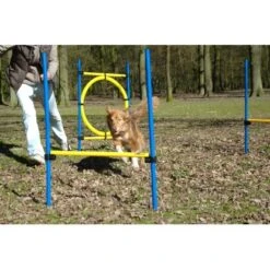 Dobar 3-teiliges Agility Sprung-Set Sprungreif 100 X 76 Cm Inkl. Tragetasche -Doppler Verkäufe 2024 4321121 3856 04