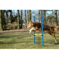 Dobar 3-teiliges Agility Sprung-Set Sprungreif 100 X 76 Cm Inkl. Tragetasche -Doppler Verkäufe 2024 4321121 3856 05