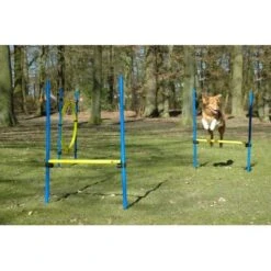 Dobar 3-teiliges Agility Sprung-Set Sprungreif 100 X 76 Cm Inkl. Tragetasche -Doppler Verkäufe 2024 4321121 3856 06