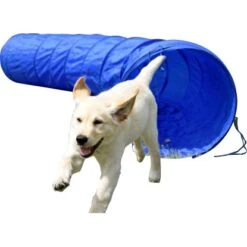 Dobar Agility Tunnel 500 CmØ 60 Cm Blau