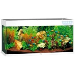 Juwel Aquarium-Set Rio LED Weiß 180 L -Doppler Verkäufe 2024 450 rio180ledweiaquarium 2
