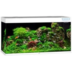 Juwel Aquarium-Set Rio LED Weiß 350 L -Doppler Verkäufe 2024 450 rio350ledweiaquarium 2