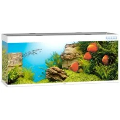 Juwel Aquarium-Set Rio LED Weiß 450 L -Doppler Verkäufe 2024 450 rio450ledweiaquarium 2