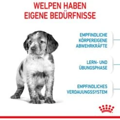 Royal Canin Medium Puppy Trockenfutter Für Welpen Mittelgroßer Hunderassen 4 Kg 16 Royal Canin Medium Puppy Trockenfutter Für Welpen Mittelgroßer Hunderassen 4 Kg -Doppler Verkäufe 2024 456500 3180 04