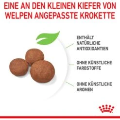 Royal Canin Medium Puppy Trockenfutter Für Welpen Mittelgroßer Hunderassen 4 Kg 23 Royal Canin Medium Puppy Trockenfutter Für Welpen Mittelgroßer Hunderassen 4 Kg -Doppler Verkäufe 2024 456500 3180 06