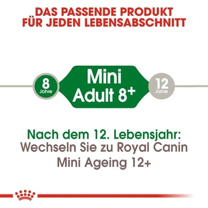 Royal Canin Mini Adult 8+ Trockenfutter Ältere Kleine Hunde 2 Kg 5 Royal Canin Mini Adult 8+ Trockenfutter Ältere Kleine Hunde 2 Kg – Bild 3