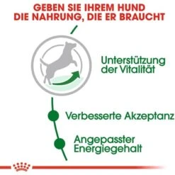 Royal Canin Mini Adult 8+ Trockenfutter Ältere Kleine Hunde 2 Kg 13 Royal Canin Mini Adult 8+ Trockenfutter Ältere Kleine Hunde 2 Kg -Doppler Verkäufe 2024 480429 3180 3