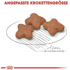 Royal Canin Mini Adult 8+ Trockenfutter Ältere Kleine Hunde 2 Kg 14 Royal Canin Mini Adult 8+ Trockenfutter Ältere Kleine Hunde 2 Kg -Doppler Verkäufe 2024 480429 3180 4