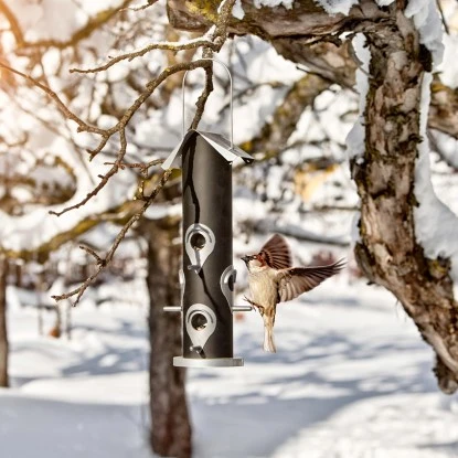 Vogelfuttersäule Saatmischung 35 Cm 4 Vogelfuttersäule Saatmischung 35 Cm – Bild 2