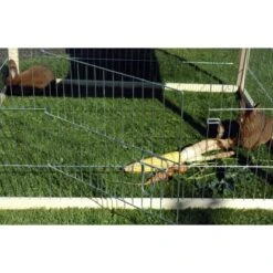 Quadratisches Freilaufgehege Nadelholz -Doppler Verkäufe 2024 5877 3856 freigehegeholz 5