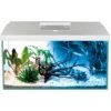 Aquael Aquarium-Set Leddy Day & Night 60 Weiß 2.0 -Doppler Verkäufe 2024 5905546331258 1331 1