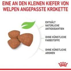 Royal Canin Mini Puppy Trockenfutter Für Welpen Kleiner Hunderassen 2 Kg -Doppler Verkäufe 2024 599857 3180 06