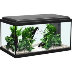 Aquatlantis Aquarium-Set Advance 60 LED Schwarz 48 L