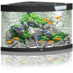 Juwel Aquarium-Set Trigon LED Schwarz 190 L -Doppler Verkäufe 2024 6350 trigon190ledschwarz 2