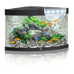 Juwel Aquarium-Set Trigon LED Schwarz 190 L -Doppler Verkäufe 2024 6350 trigon190ledschwarz 5