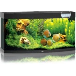 Juwel Aquarium-Set Vision LED Schwarz 260 L -Doppler Verkäufe 2024 6350 vision260ledschwarz 2