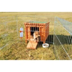 Trixie Kleintierhaus Natura 42 Cm X 43 Cm X 51 Cm Braun 7 Trixie Kleintierhaus Natura 42 Cm X 43 Cm X 51 Cm Braun -Doppler Verkäufe 2024 704245 3691 62391 haus 2