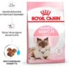 Royal Canin Mother And Babycat Katzenfutter Für Tragende Katzen Und Kitten 2 Kg -Doppler Verkäufe 2024 725363 3180 01
