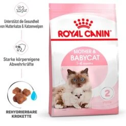 Royal Canin Mother And Babycat Katzenfutter Für Tragende Katzen Und Kitten 2 Kg