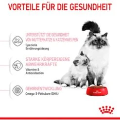 Royal Canin Mother And Babycat Katzenfutter Für Tragende Katzen Und Kitten 2 Kg -Doppler Verkäufe 2024 725363 3180 04
