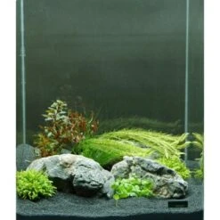 Dennerle Plants Aquariumpflanzen Set Nano Für 30 Liter Aquarien 7 Pflanzen -Doppler Verkäufe 2024 735184 3565 9160 2