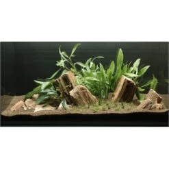 Dennerle Plants Aquariumpflanzen-Set Für 80 Cm Aquarium 16 Pflanzen -Doppler Verkäufe 2024 735196 3565 9160 2