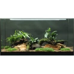 Dennerle Plants Aquariumpflanzen-Set Deko 80 Cm - 120 Cm Aquarium 12 Pflanzen 6 Dennerle Plants Aquariumpflanzen-Set Deko 80 Cm - 120 Cm Aquarium 12 Pflanzen -Doppler Verkäufe 2024 735199 3565 9160 2