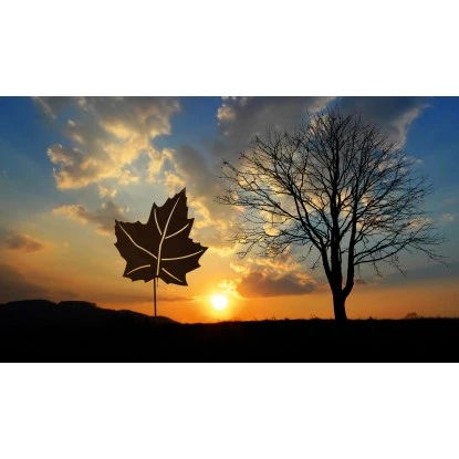 Ferrum Art Design Gartenstecker Ahornblatt 141 Cm Edelrost 3 Ferrum Art Design Gartenstecker Ahornblatt 141 Cm Edelrost