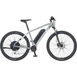 Prophete E-Mountainbike 29" Graveler 9-Gang 22.EMM.20 Grau Matt