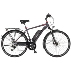Fischer E-Bike Trekking-Rad Viator 1.0 Herren