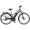 Fischer E-Bike Trekking-Rad Viator 1.0 Damen 2 Fischer E-Bike Trekking-Rad Viator 1.0 Damen -Doppler Verkäufe 2024 743929 2982 1