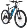 Fischer E-Bike Mountainbike Montis EM 1724 422 Wh -Doppler Verkäufe 2024 744115 2982 51 1