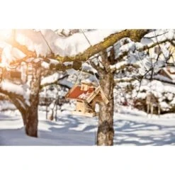 Vogelfuttersilo Gaisberg 5 Vogelfuttersilo Gaisberg -Doppler Verkäufe 2024 768726 1309 2