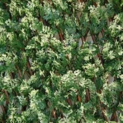 Tenax Künstliche Hecke Divy 3D X-Tens Cyprus 1 M X 2 M Grün