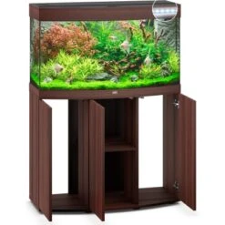 Juwel Aquarium-Kombination Vision LED SBX Dunkles Holz 180 L 9 Juwel Aquarium-Kombination Vision LED SBX Dunkles Holz 180 L -Doppler Verkäufe 2024 80ledsbxdunklesholzkombi 3
