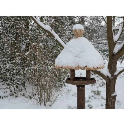 Siena Garden Vogelhaus Kiefer Braun Und Natur 50 Cm X 35 Cm X 55 Cm FSC® 8 Siena Garden Vogelhaus Kiefer Braun Und Natur 50 Cm X 35 Cm X 55 Cm FSC® – Bild 6