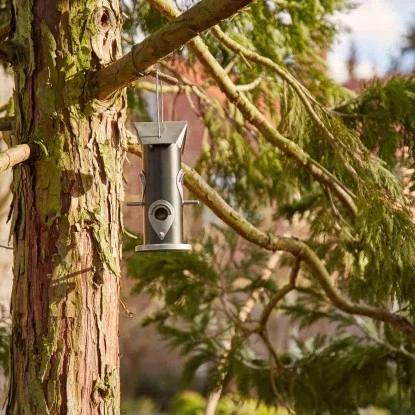 Siena Garden Futterspender Feeder Schwarz Und Silber Ø 14 Cm X 25 Cm 7 Siena Garden Futterspender Feeder Schwarz Und Silber Ø 14 Cm X 25 Cm – Bild 5