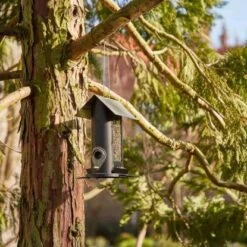 Siena Garden Futterspender Feeder Schwarz & Silber 21 Cm X 16 Cm X 24,5 Cm -Doppler Verkäufe 2024 852211 1346 6