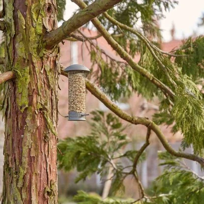 Siena Garden Futterspender Feeder Metallgitter Grau 7 Cm X 14,5 Cm X 22 Cm 8 Siena Garden Futterspender Feeder Metallgitter Grau 7 Cm X 14,5 Cm X 22 Cm – Bild 6