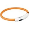 Jollypaw Leuchtring USB XS-S 35 Cm ø 7 Mm Orange 1 Jollypaw Leuchtring USB XS-S 35 Cm ø 7 Mm Orange -Doppler Verkäufe 2024 87173 7720606 leuchtring 1