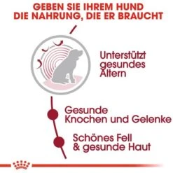 Royal Canin Medium Ageing 10+ Trockenfutter Ältere Große Hunde 3 Kg 14 Royal Canin Medium Ageing 10+ Trockenfutter Ältere Große Hunde 3 Kg -Doppler Verkäufe 2024 904429 3180 3